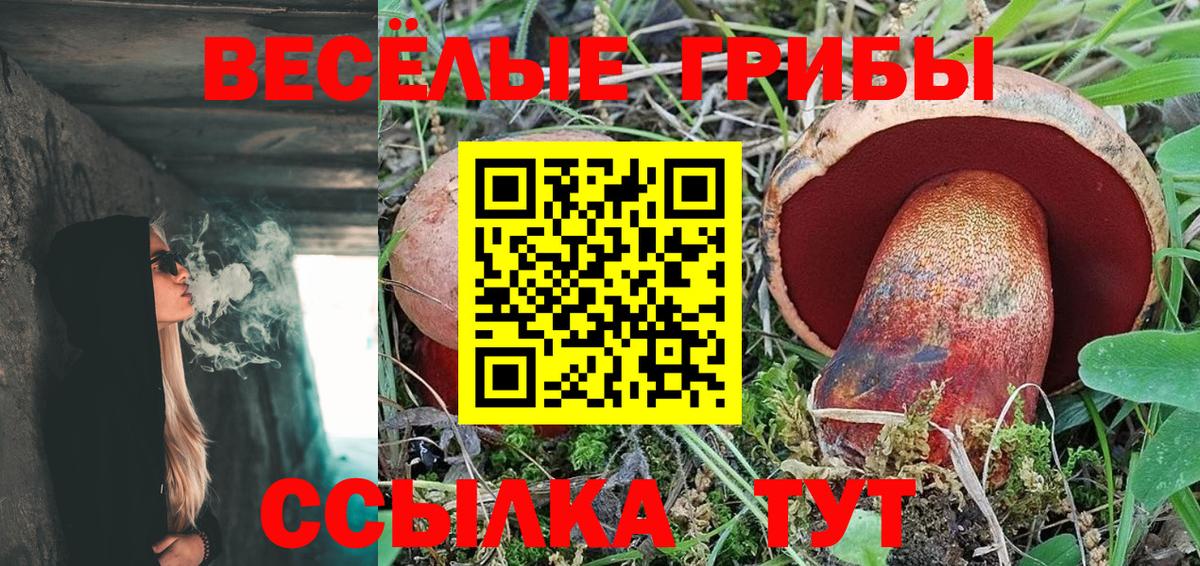 как найти   Галлюциногенные грибы Psilocybine cubensis  Вход с VPN  Москва 