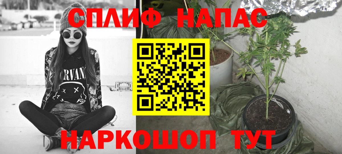 МАРИХУАНА Amnesia Москва