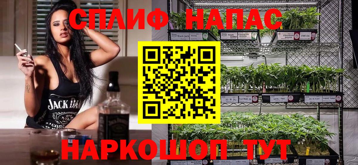 Шишки марихуана марихуана  Канабис тримм  Каннабис AK-47  Москва  Вход с VPN 